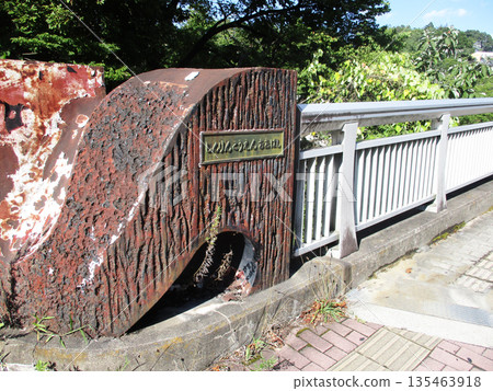 Shinrin Park Bridge Shinrin Park Bridge 135463918