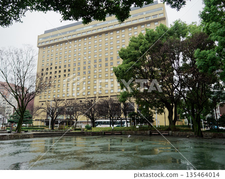 名古屋錦下園公園的冬雨 135464014