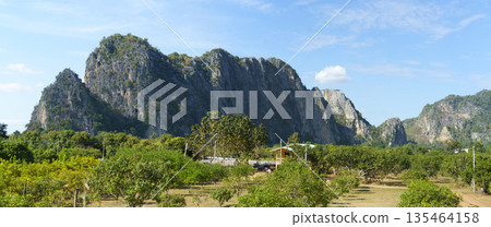 Wide panoramic shot of dramatic limestone karst mountains rising above a lush green tropical orchard. Scenic rural landscape with a clear blue sky and bright sunshine in Southeast Asia. Wide panoramic shot of dramatic limestone karst mountains rising above a lush green tropical orchard. Scenic rural landscape with a clear blue sky and bright sunshine in Southeast Asia. 135464158