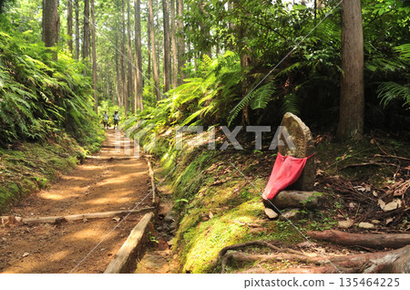Jizo of Dokyu Zenmon Gate (Kumano Kodo, Nakahechi) [Motomiyacho, Tanabe City, Wakayama Prefecture] 135464225
