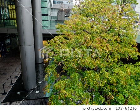 Cityscape Nagoya City Nishiki Nagoya Intercity Scenery 135464286