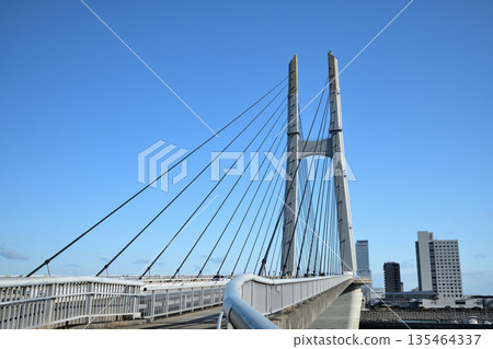 田尻天之橋[大阪府泉南區田尻町] 135464337