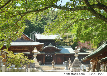 Hata Shrine (worship hall) [Hannan City, Osaka Prefecture] 135464555
