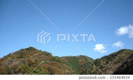 Forest and blue sky scenery on a sunny winter mountain Forest and blue sky scenery on a sunny winter mountain 135464634
