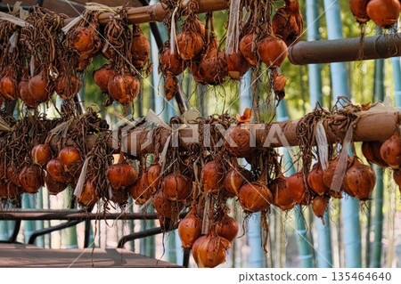 竹林中，洋蔥在風中晾曬。 135464640