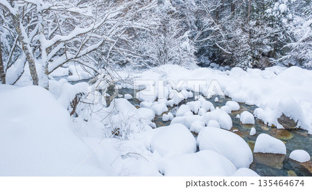 冬河（湯森谷） 135464674