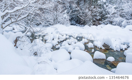 冬河（湯森谷） 135464676