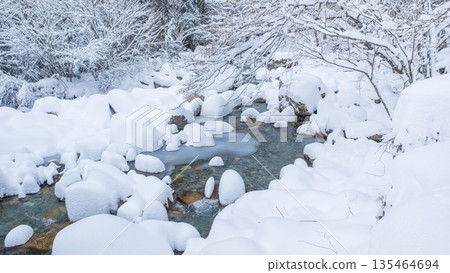 冬河（湯森谷） 135464694