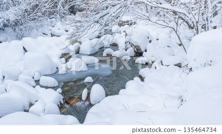 冬河（湯森谷） 135464734