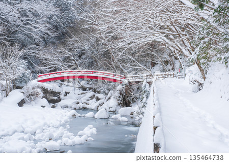 Yumori Valley (Winter): Momiji Bridge 135464738