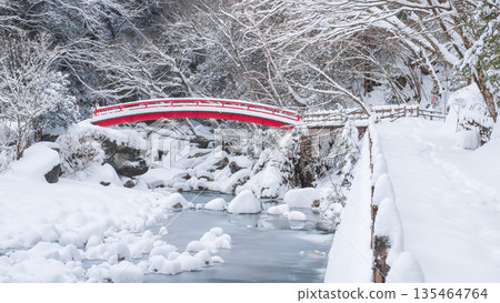 Yumori Valley (Winter): Momiji Bridge 135464764