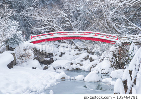 Yumori Valley (Winter): Momiji Bridge 135464781
