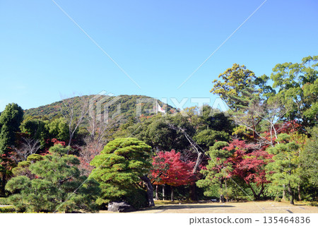 The gardens within the grounds of the Inner Shrine of Ise Jingu-2 The gardens within the grounds of the Inner Shrine of Ise Jingu-2 135464836