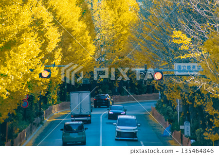 Traffic around Sendagaya, lined with yellow ginkgo trees [Autumn image] 135464846