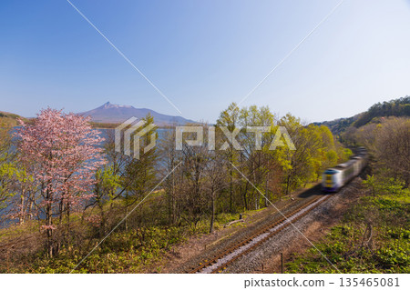 北海道大沼的春天——火車的景色—— 135465081
