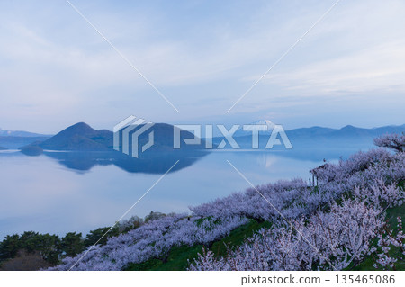 北海道洞爺湖 AM602 135465086
