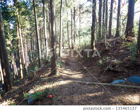 The hiking trail from Tsuchiyama Pass to Hadano Station via Mt. Oyama 135465137