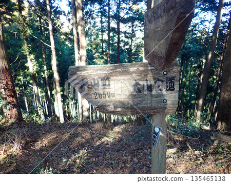 The hiking trail from Tsuchiyama Pass to Hadano Station via Mt. Oyama The hiking trail from Tsuchiyama Pass to Hadano Station via Mt. Oyama 135465138