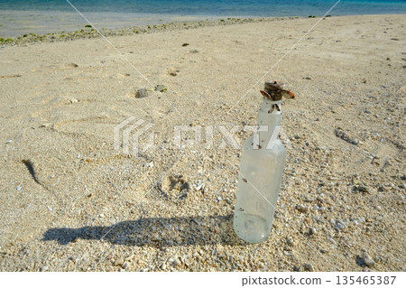 一個裝滿貝殼的瓶子被沖上了岸。 一個裝滿貝殼的瓶子被沖上了岸。 135465387