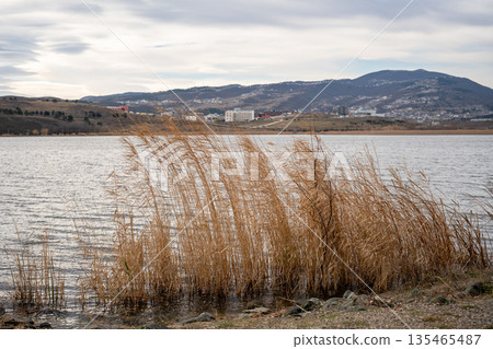 Early spring landscape of lake with dry reeds on cloudy day surrounded by hills and modern city. Early spring landscape of lake with dry reeds on cloudy day surrounded by hills and modern city. 135465487