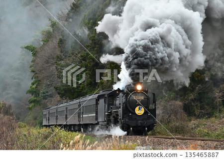 JR山口線SL山口號列車拍照點,疾駛而過本門 JR山口線SL山口號列車拍照點,疾駛而過本門 135465887
