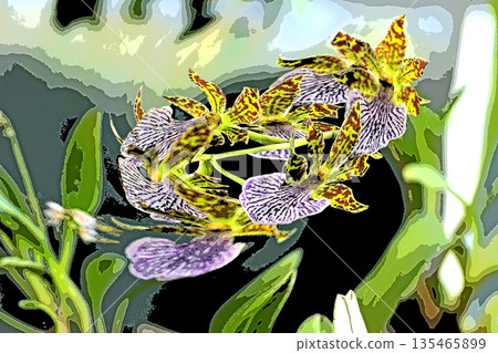 一扇令人心曠神怡的窗，蘭花競相綻放。 135465899