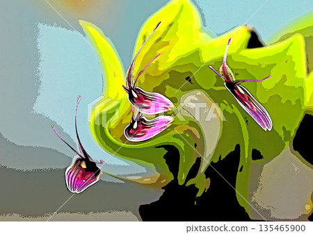 一扇令人心曠神怡的窗，蘭花競相綻放。 135465900