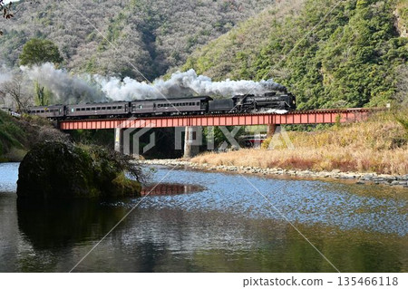 SL Yamaguchi號列車從JR山口線的長門橋站出發,途經阿布河。 SL Yamaguchi號列車從JR山口線的長門橋站出發,途經阿布河。 135466118