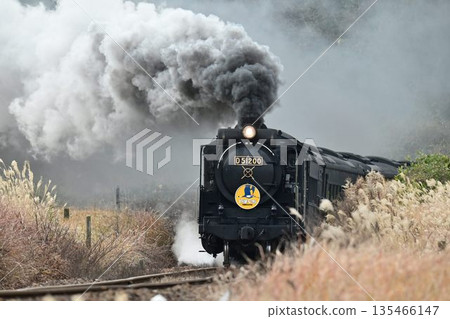 SL Yamaguchi-走在小山道的鐵路道口 SL Yamaguchi-走在小山道的鐵路道口 135466147