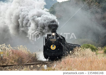 SL Yamaguchi-going on the railroad crossing of Oyama Road SL Yamaguchi-going on the railroad crossing of Oyama Road 135466148