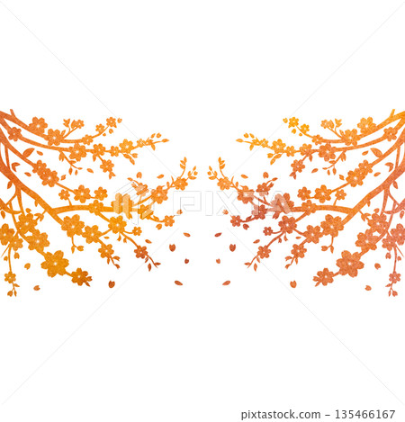 Beautiful watercolor cherry blossom tree icon image illustration 135466167