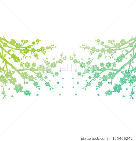美麗的水彩櫻花樹圖示圖像插圖 135466242