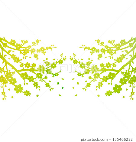 美麗的水彩櫻花樹圖示圖像插圖 美麗的水彩櫻花樹圖示圖像插圖 135466252