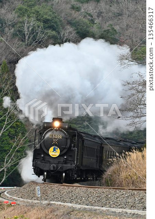 SL 山口線,JR 山口線,拍照點,津和野,飛馳穿過白井村 SL 山口線,JR 山口線,拍照點,津和野,飛馳穿過白井村 135466317