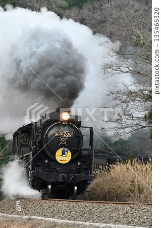 SL 山口線，JR 山口線，拍照點，津和野，飛馳穿過白井村 135466320