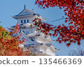 Himeji Castle and autumn scenery with colorful leaves 135466369