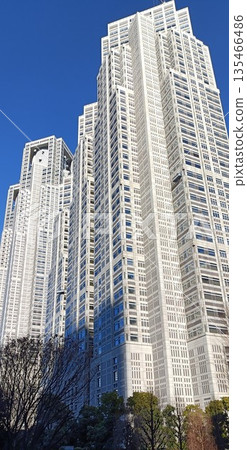 從中央公園看到的東京都政府大樓 135466486