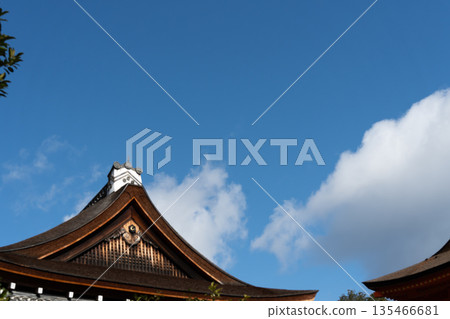 Main hang in the blue sky Main hang in the blue sky 135466681