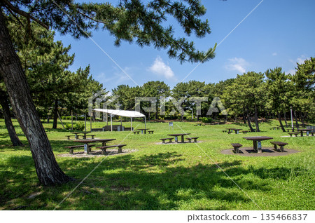 神奈川縣橫濱市金澤區海洋公園 神奈川縣橫濱市金澤區海洋公園 135466837
