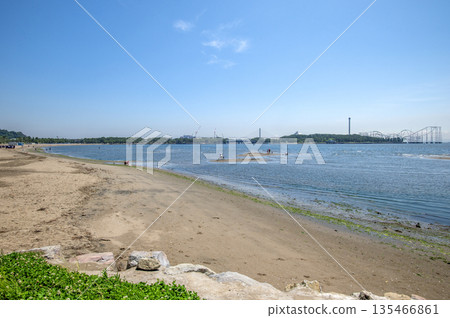 神奈川縣橫濱市金澤區海洋公園 神奈川縣橫濱市金澤區海洋公園 135466861