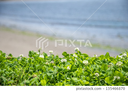 Marine Park Kanazawa Ward, Yokohama City, Kanagawa Prefecture 135466870