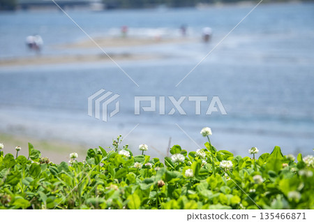 Marine Park Kanazawa Ward, Yokohama City, Kanagawa Prefecture 135466871