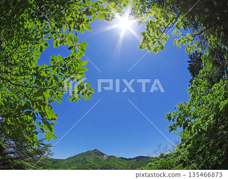 Landscape material Fresh green frame《Mie Prefecture, Mt. Gozaisho》 Landscape material Fresh green frame《Mie Prefecture, Mt. Gozaisho》 135466873