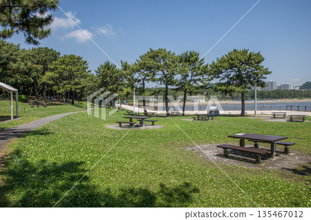 神奈川縣橫濱市金澤區海洋公園 神奈川縣橫濱市金澤區海洋公園 135467012