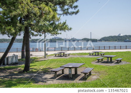 神奈川縣橫濱市金澤區海洋公園 神奈川縣橫濱市金澤區海洋公園 135467021