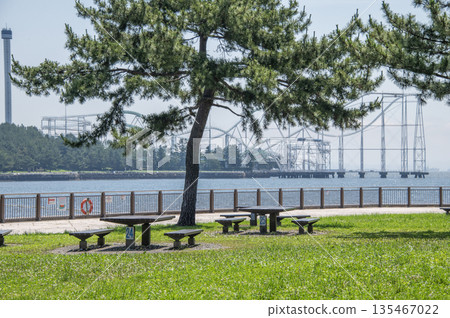 神奈川縣橫濱市金澤區海洋公園 神奈川縣橫濱市金澤區海洋公園 135467022