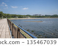 Marine Park Kanazawa Ward, Yokohama City, Kanagawa Prefecture 135467039