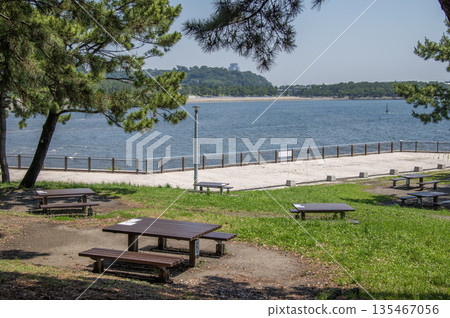 神奈川縣橫濱市金澤區海洋公園 神奈川縣橫濱市金澤區海洋公園 135467056
