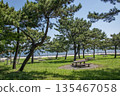 Marine Park Kanazawa Ward, Yokohama City, Kanagawa Prefecture 135467058