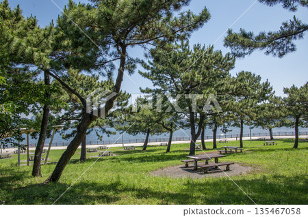 Marine Park Kanazawa Ward, Yokohama City, Kanagawa Prefecture 135467058
